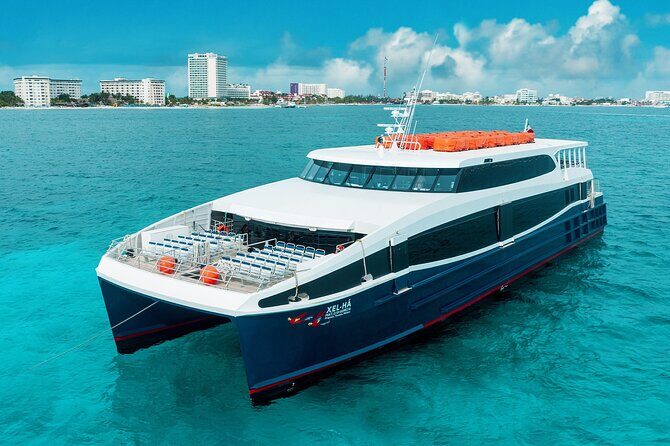 Luxury FERRY Xcaret: From Playa del Carmen to Cozumel - The Cozumel arrival dock: getting from the ferry terminal onward