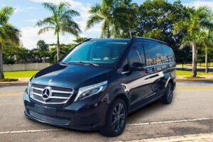 Luxury Private VIP Airport-Hotel Transportation - From the airport to your hotel: timing, vouchers, and what to look for