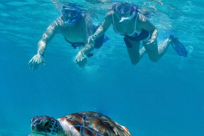 Luxury Sailing & Snorkeling Experience from Riviera Maya - Why This Playa del Carmen Catamaran Feels Like Real Value