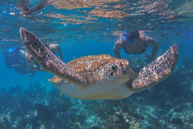 Luxury Sailing & Snorkeling Experience from Riviera Maya - Hotel Pickup and Timing: The Part That Can Stretch the Day