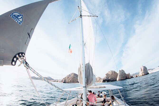 Luxury Snorkel Adventure in Cabo - Wildlife sightings: you might see turtles, sea lions, or whales
