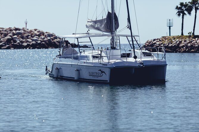 Luxury Snorkel Adventure in Cabo - Price and add-on fees: what $149 really means