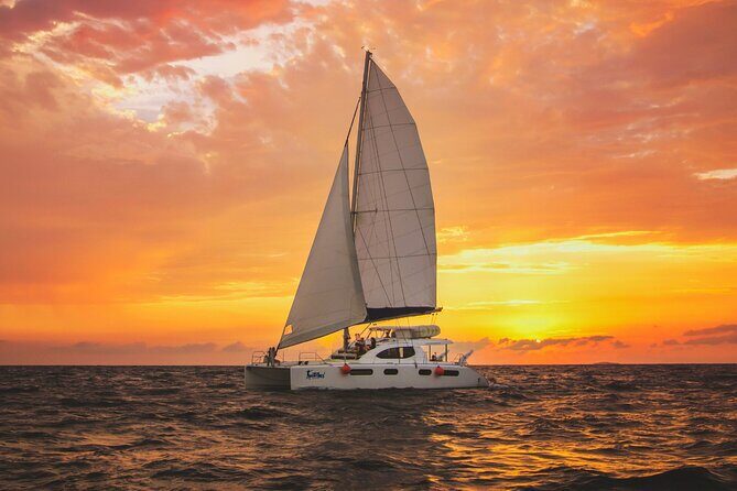 Luxury Sunset Sailing Cruise in Cancun with Light Dinner and Open Bar - Getting on board: catamaran comfort, crew energy, and the open bar