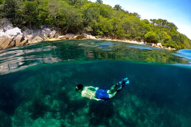 Luxury Yacht & Snorkel with All inclusive Open bar and lunch - Leopard catamaran comfort and the 40-person max