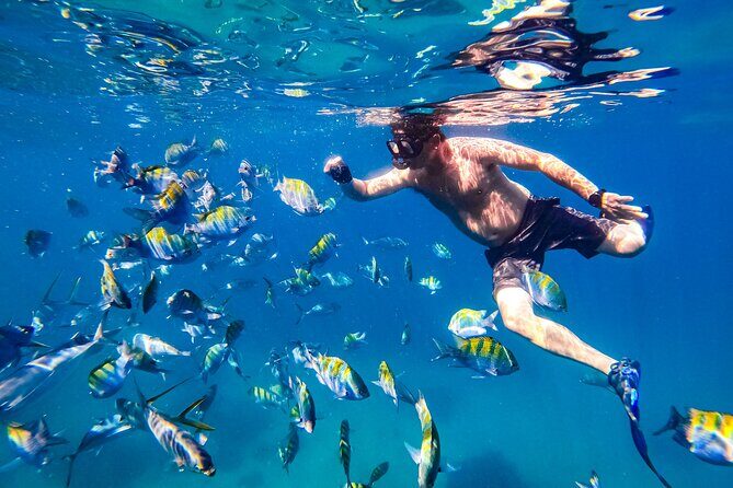 Luxury Yacht & Snorkel with All inclusive Open bar and lunch - Food and drinks: Mexican lunch, constant service, and the open bar reality