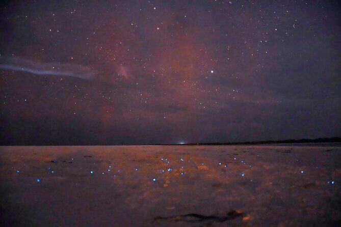 Magic Night of Stargazing and Bioluminescence - Key takeaways before you go