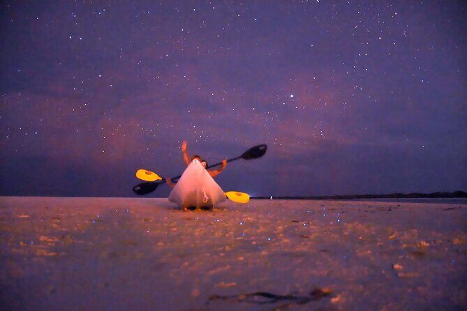 Magic Night of Stargazing and Bioluminescence - What the guides do (and why their style affects your night)