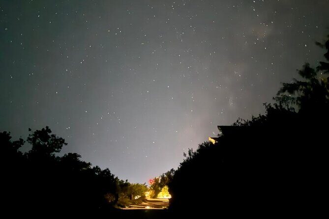 Magic Night of Stargazing and Bioluminescence - Value for your time on Holbox: what you’re really paying for