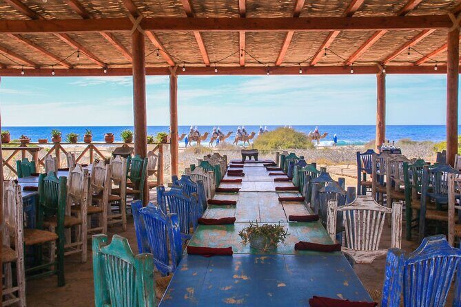 Magical Todos Santos Tour, Camel Ranch, Lunch and Tequila - Hotel California Moment: The Stop That Everyone Recognizes