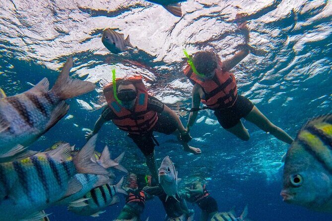 Magnificent Exploration to El Cielo Palancar and Columbia Reefs - El Cielito Beach: mantas, shallow water, and a lot of surface time