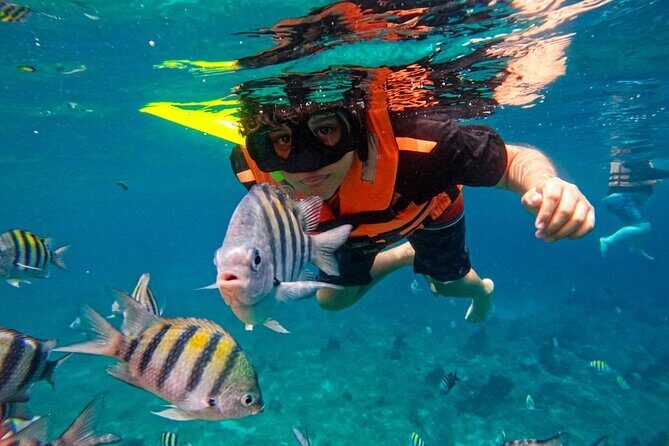Magnificent Exploration to El Cielo Palancar and Columbia Reefs - Snorkeling gear, certified guidance, and the English reality