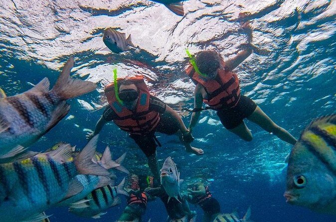 Magnificent Exploration to El Cielo Palancar and Columbia Reefs - Price and logistics: $23 is the start, 450 MXN is the key