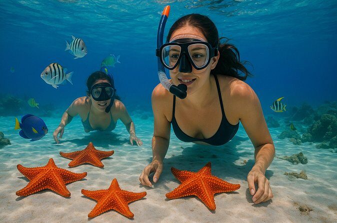 Magnificent Exploration to El Cielo Palancar and Columbia Reefs - What’s included (and what you should watch for)