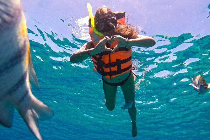 Magnificent Exploration to El Cielo Palancar and Columbia Reefs - Columbia Reef: the deepest stop and the big-coral feeling