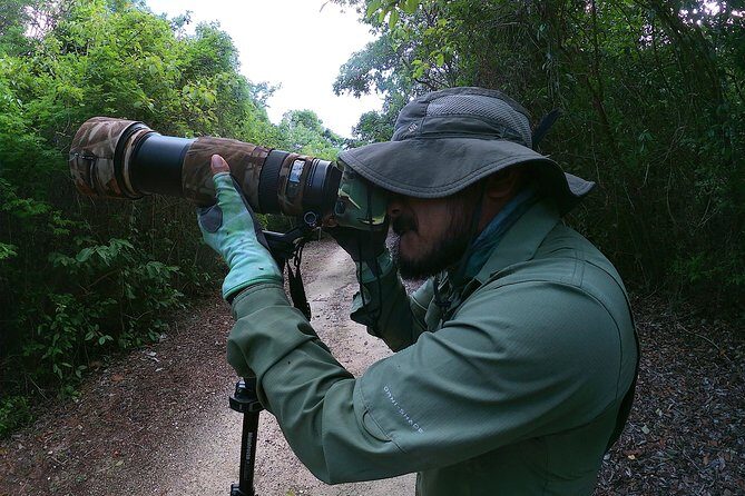 Mahahual and Costa Maya Birdwatching - Why Mahahual and Costa Maya are great for birding in a single morning
