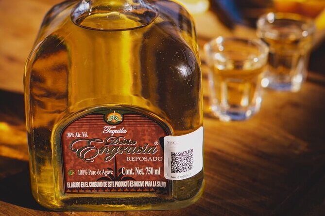 Mahahual Private Tequila Tasting - The 40-minute flow: from machinery to your glass