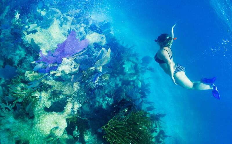 Mahahual: Snorkel Tour in Reef Lagoon - Mahahual’s Reef Lagoon Snorkel: why this reef feels special