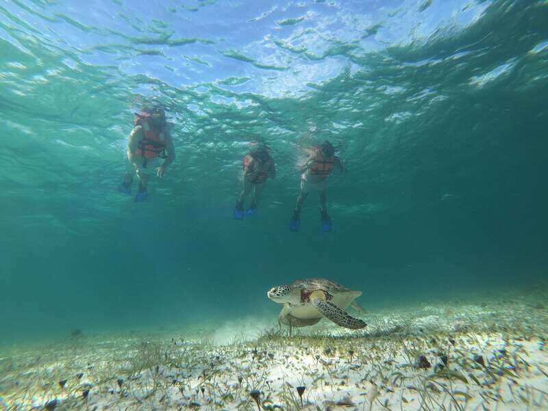 Mahahual: Snorkel Tour in Reef Lagoon - What to pack and what to avoid for a reef-friendly trip