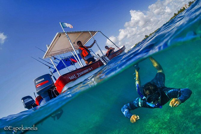 Mahahual Snorkeling Adventure: Turtle Encounter - The Real Itinerary: Boat Ride, One Hour in the Water, Two Reef Areas