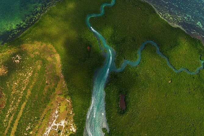 Mangrove and Lagoon Speed Boat Tour - Mangrove Canals and Wildlife: Fast Views With Real Nature
