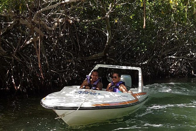 Mangrove and Lagoon Speed Boat Tour - The Private Beach Stop: Plan for It, Don’t Bet the Trip on It