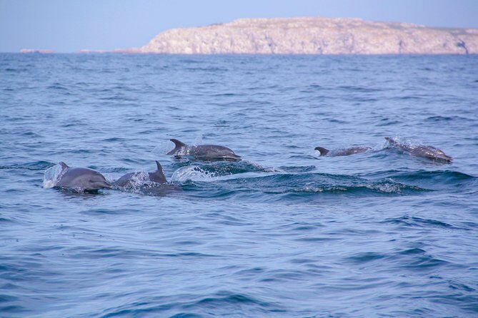 Marietas Hidden beach trip from Puerto Vallarta - Price and extra fees: when $169 is a good deal and when it isn’t