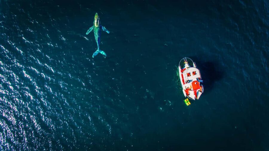 Marietas Islands Boat Tour: Snorkel, Kayak, Playa Nopalera - Key things that make this tour worth your day