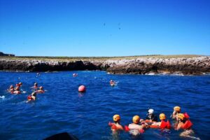 Marietas Islands Snorkel Tour & Hidden Beach - Gear, Life Vests, and How the Guides Run the Snorkel
