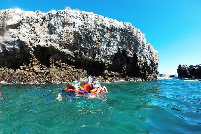 Marietas Islands snorkeling & Hidden beach (w/ restrictions) - Marina Vallarta check-in: where your day actually starts