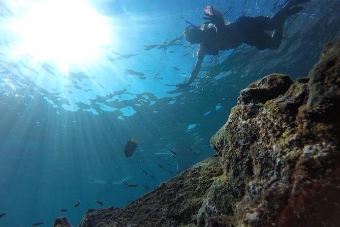 Marietas Islands Snorkeling Tour - Who this suits best (and who might want another option)