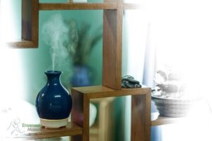 Massage Experience with Certified Therapists & Pickup Drop-Off - Stop 1: Ensenada Massage Spa Center and Your Treatment Start
