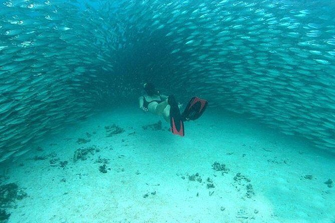 Mayan Adventure from Cancun - Jungle River Swim: Caves, Stalactites, and a Cooler Kind of Adventure