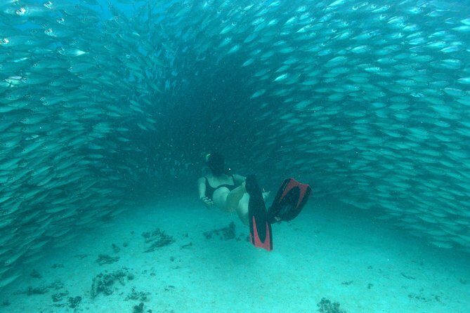 Mayan Adventure from Playa del Carmen - A Morning of Three Mayan Water Stops