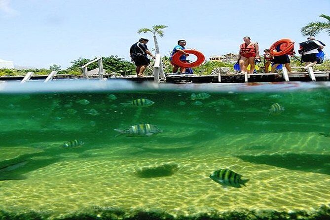 Mayan Adventure from Playa del Carmen - Stop 1: Snorkeling Reefs and Underwater Ecosystems
