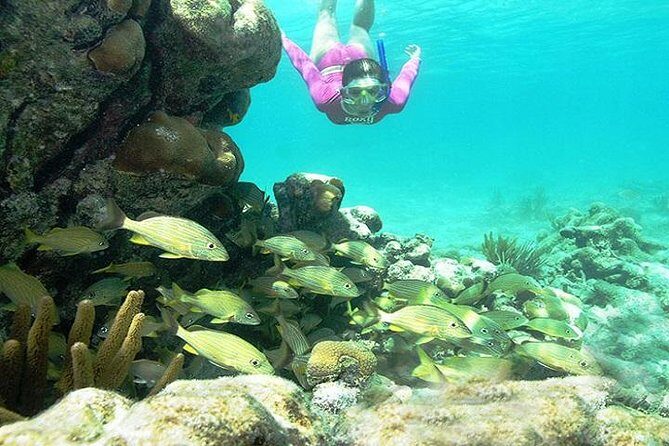 Mayan Adventure from Playa del Carmen - Stop 3: Cenote Swim in a Natural Sinkhole Pool