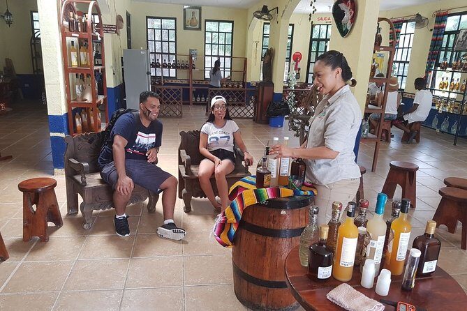 Mayan Village and Tequila Tour - The itinerary rhythm: how the 2-hour format fits real vacation days