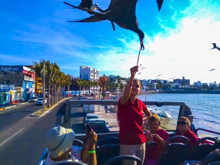 Mazatlán: Double-Decker Bus, Cliff Diving & Walking Tour - The Malecón Ride: 8.5 Kilometers of Coast and Monuments