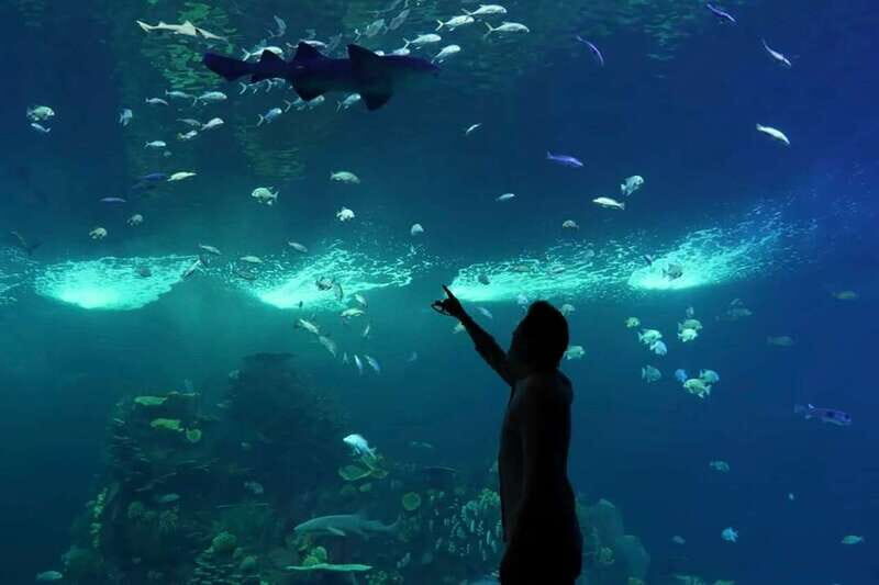 Mazatlan: Grand Aquarium Ticket and City Sightseeing Tour - Key highlights you’ll actually care about