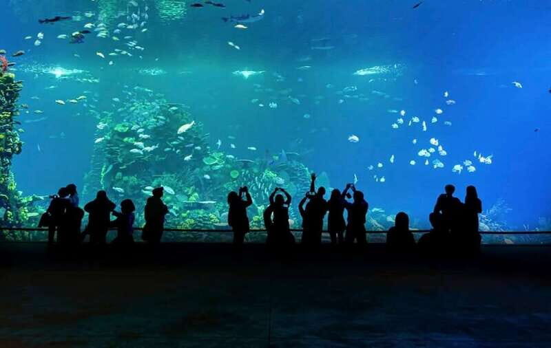 Mazatlan: Grand Aquarium Ticket and City Sightseeing Tour - Mar de Cortés Aquarium and interactive areas: what you’ll notice