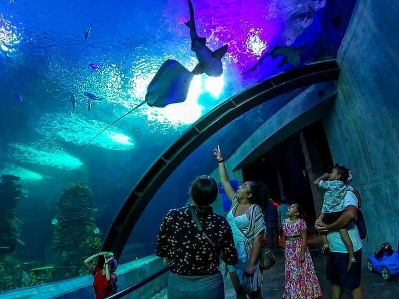 Mazatlan: Grand Aquarium Ticket and City Sightseeing Tour - Price and value of the $98 ticket (and what you’ll still pay for)