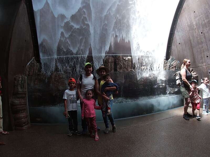 Mazatlan: Grand Aquarium Ticket and City Sightseeing Tour - Who should book this Mazatlán Aquarium + city tour