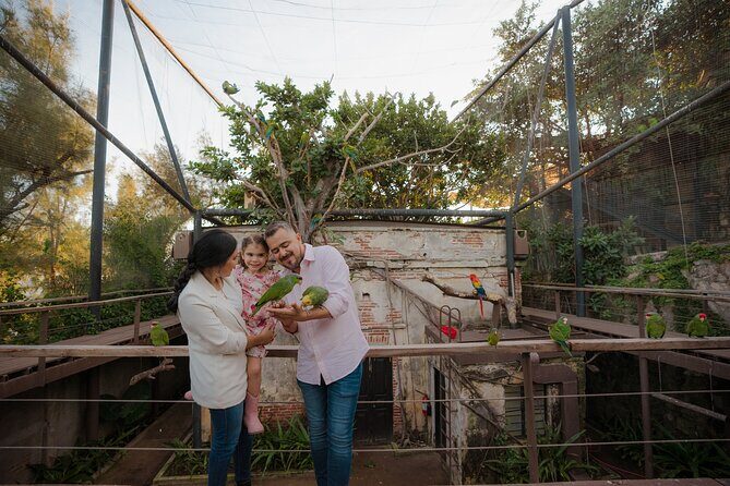 Mazatlan Observatorio 1873 Ticket and Pass - Cacao ceremony and agaves: local flavors without the tourist trap