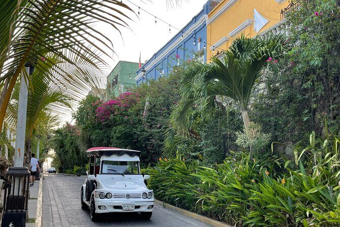 Mazatlan Pulmonia Experience - Why a Pulmonía Tour Works Better Than a Bus in Mazatlán