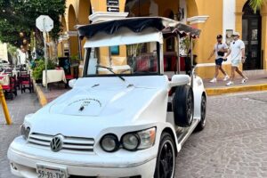 Mazatlan Pulmonia Experience - Price and Value: $199 for a Private Group Up to Four