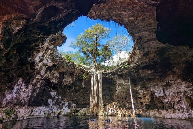 Merida : 4 Santa Barbara Cenotes and Bikes with Lunch - Key Highlights