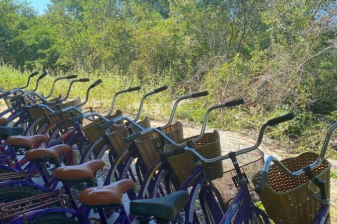 Merida : 4 Santa Barbara Cenotes and Bikes with Lunch - Guides, Small Groups, and the Online Quiz Game