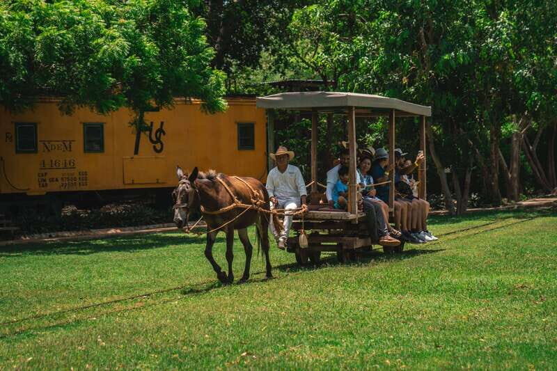 Merida: Hacienda Sotuta de Peon w/ Cenote & Henequen Tour - Key highlights in plain terms