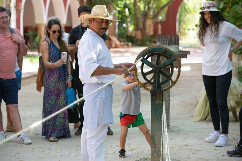 Merida: Hacienda Sotuta de Peon w/ Cenote & Henequen Tour - Mule-powered “trucks” and the agave fields: a ride that feels like work history