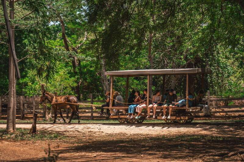 Merida: Hacienda Sotuta de Peon w/ Cenote & Henequen Tour - Who this tour fits best