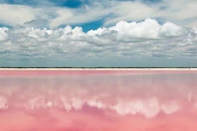 Mérida: Las Coloradas and Río Lagartos with Boat Tour and Lunch - Key things to know before you go